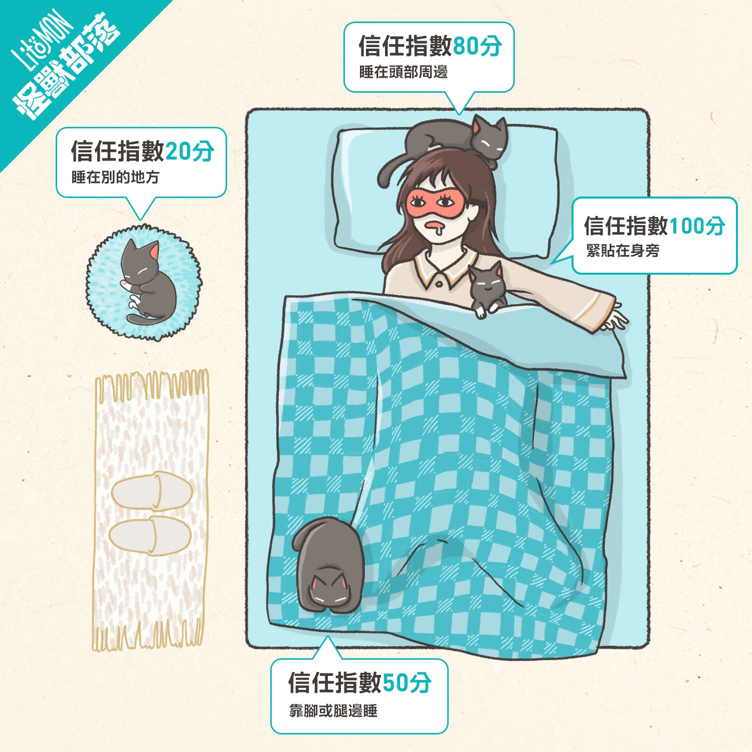 貓咪睡覺位置