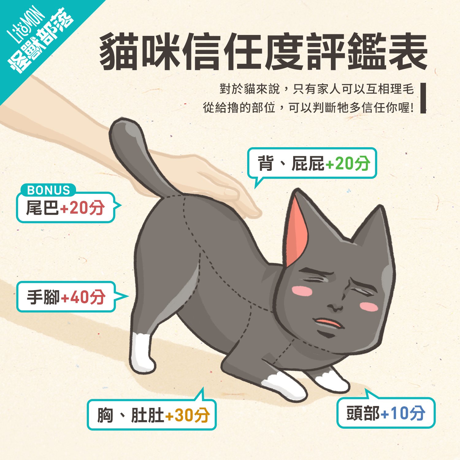 貓咪身體撸起來 看他有多信任你 怪獸部落