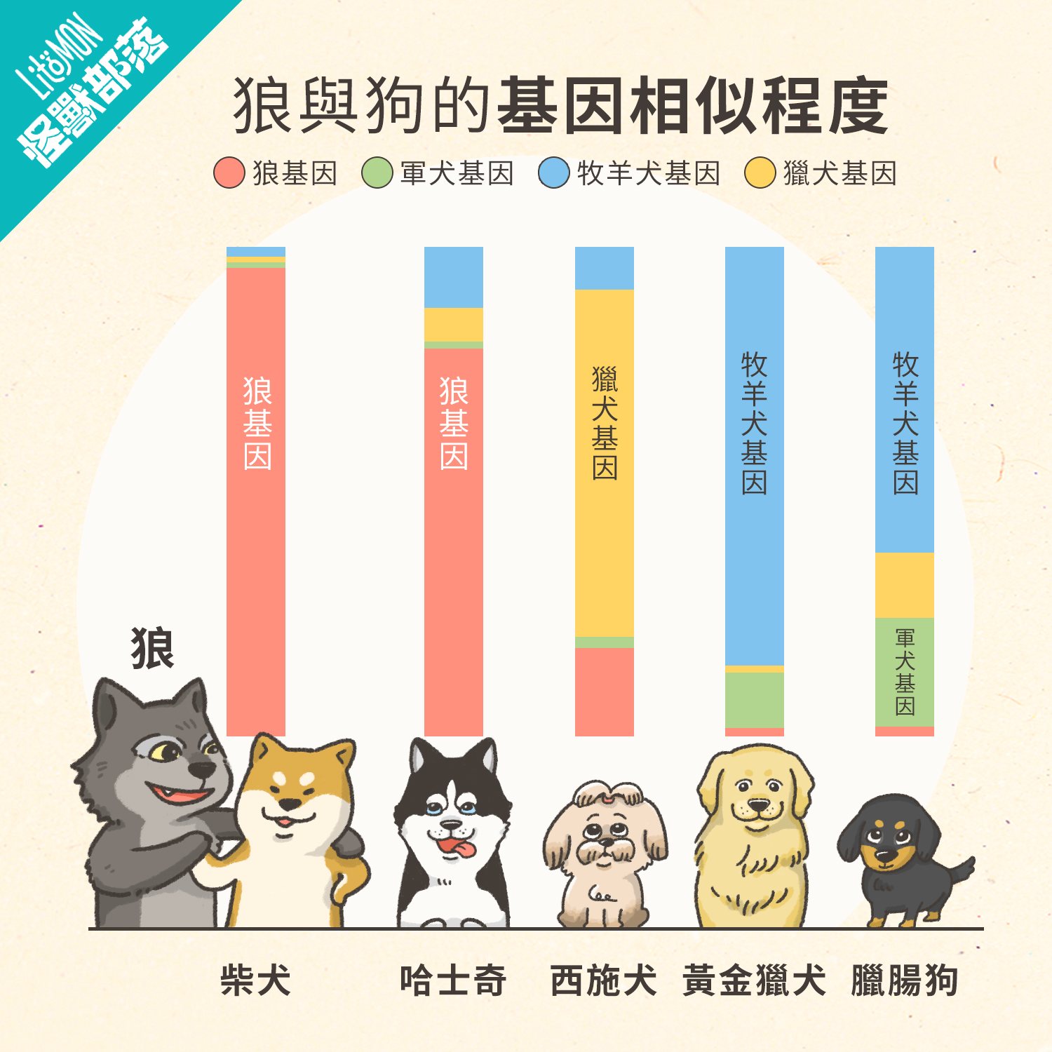 柴犬冷知識 這個表情包大神 有哪些秘密呢 怪獸部落