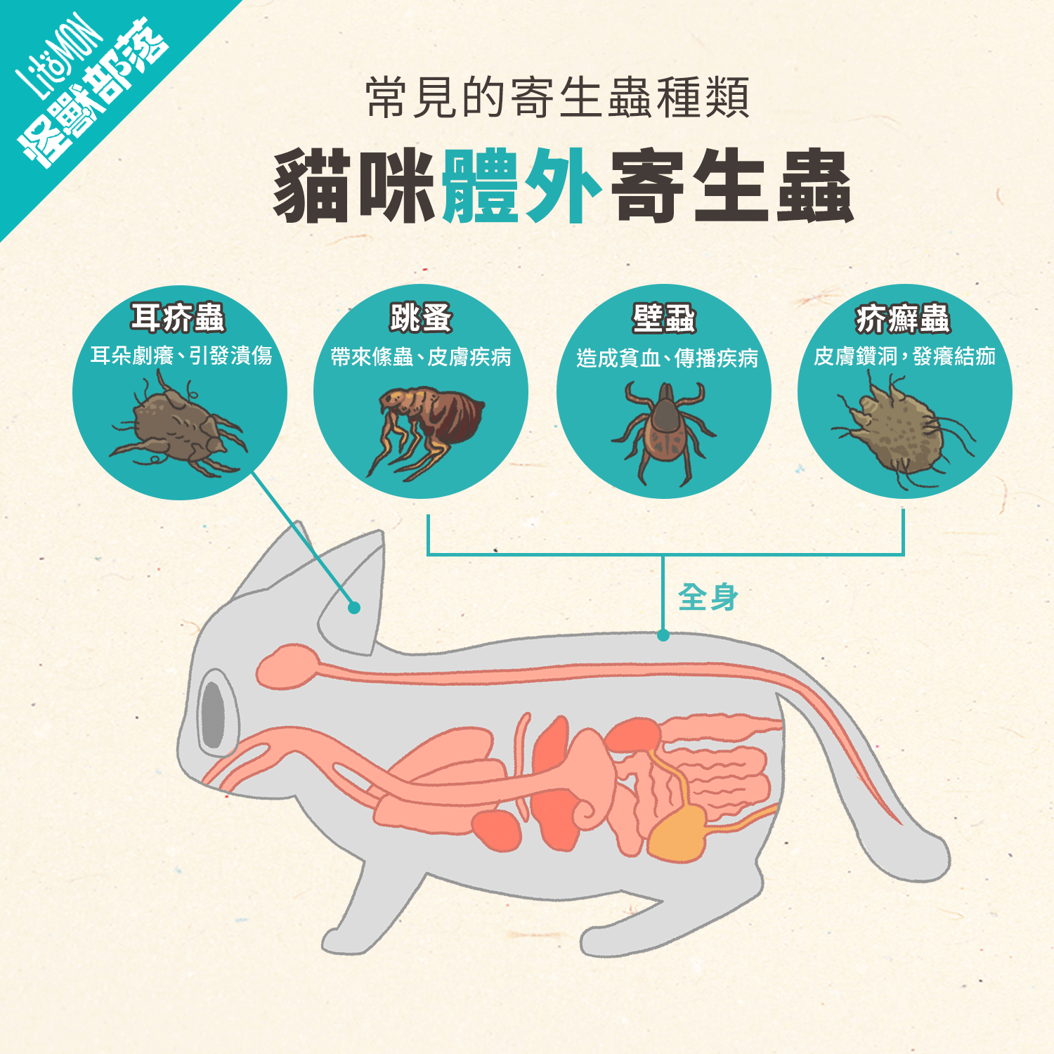 寄生虫部分显微镜下图 - 知乎