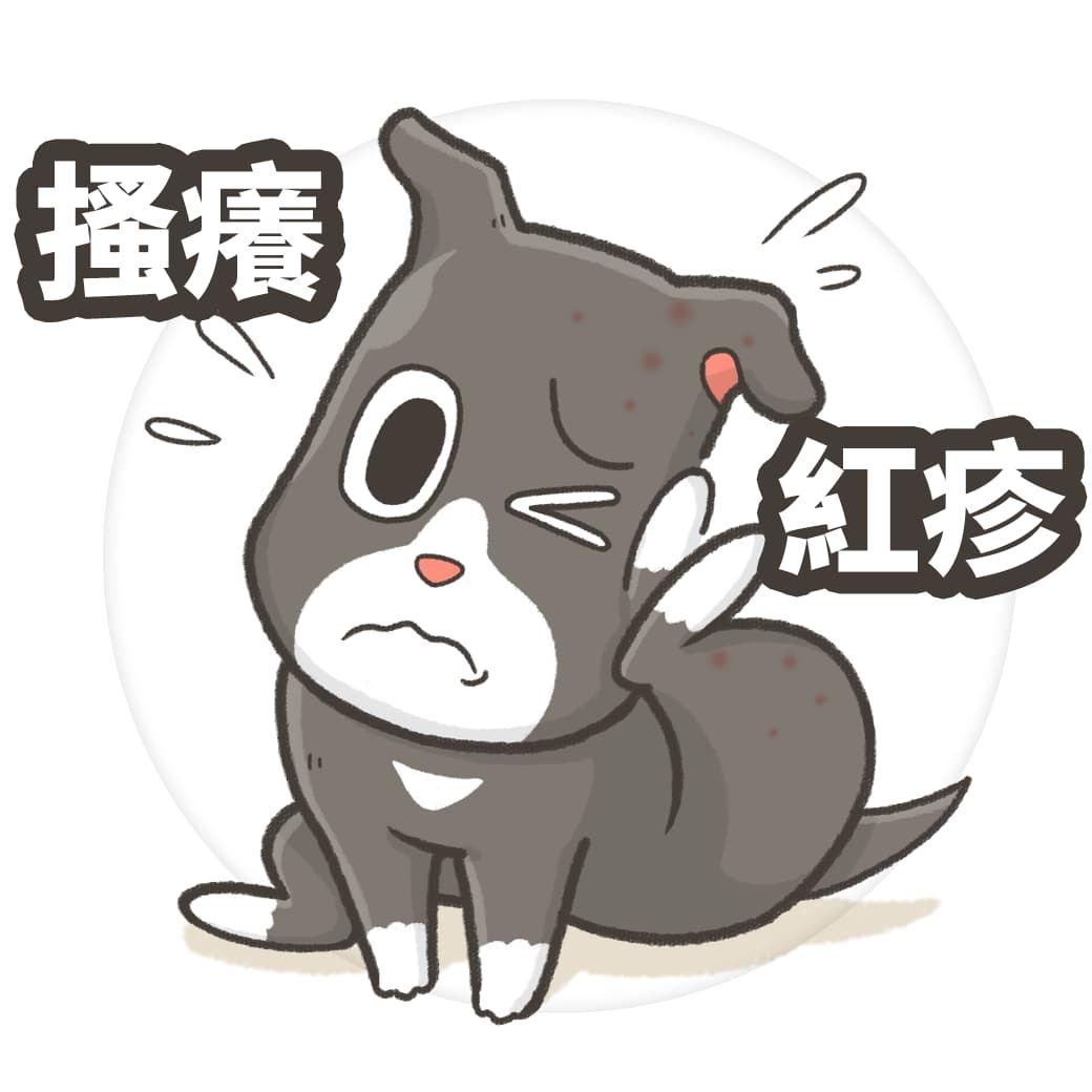 狗狗皮膚 問題