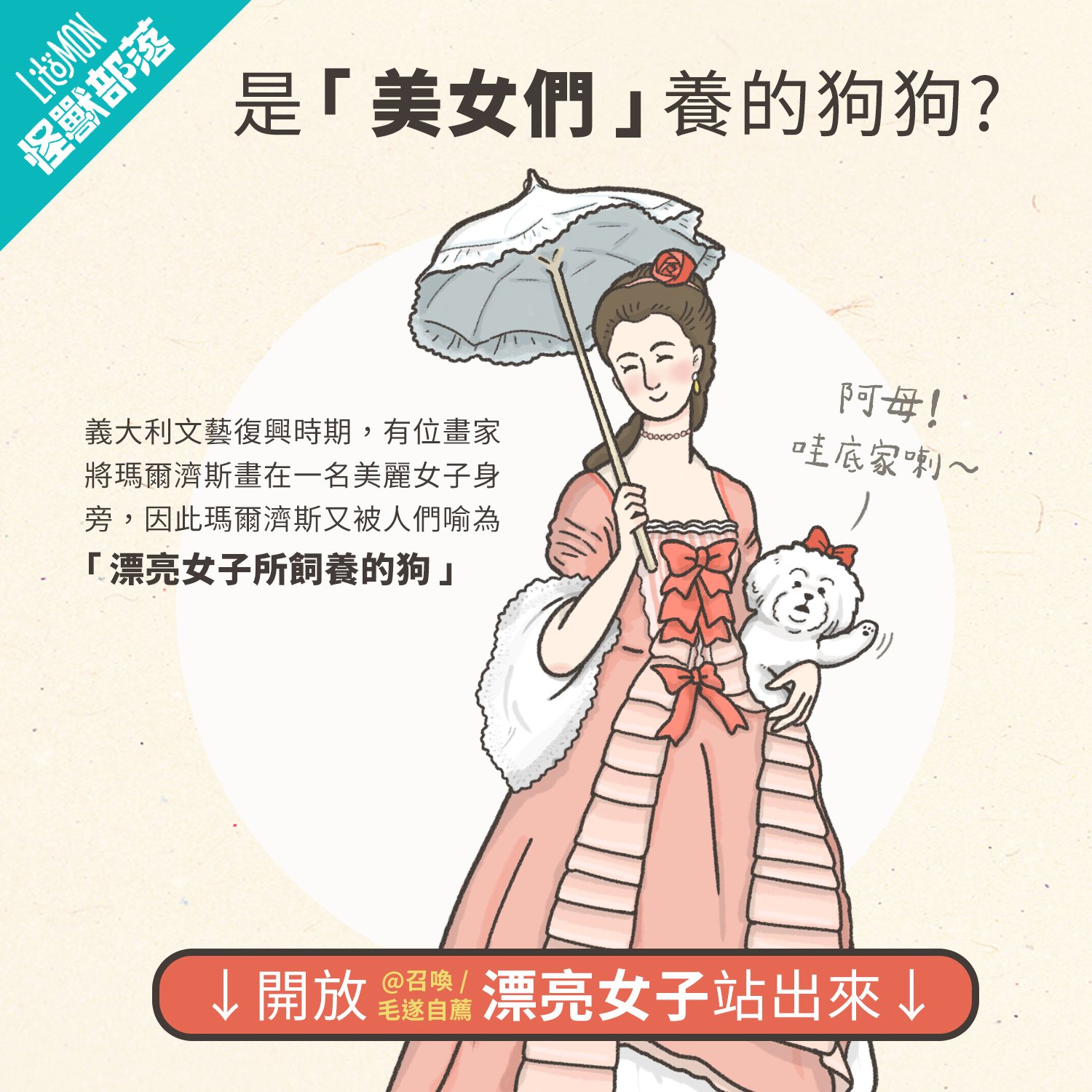 馬爾濟斯