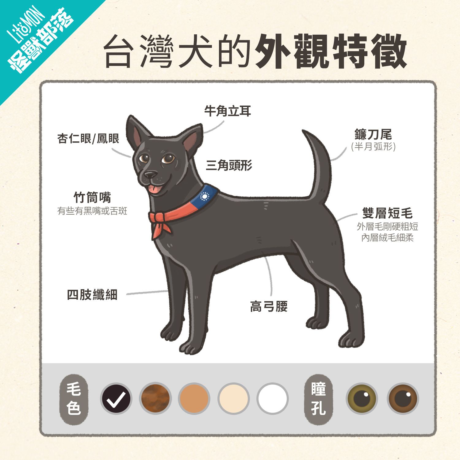 台灣犬 特徵 個性 品種