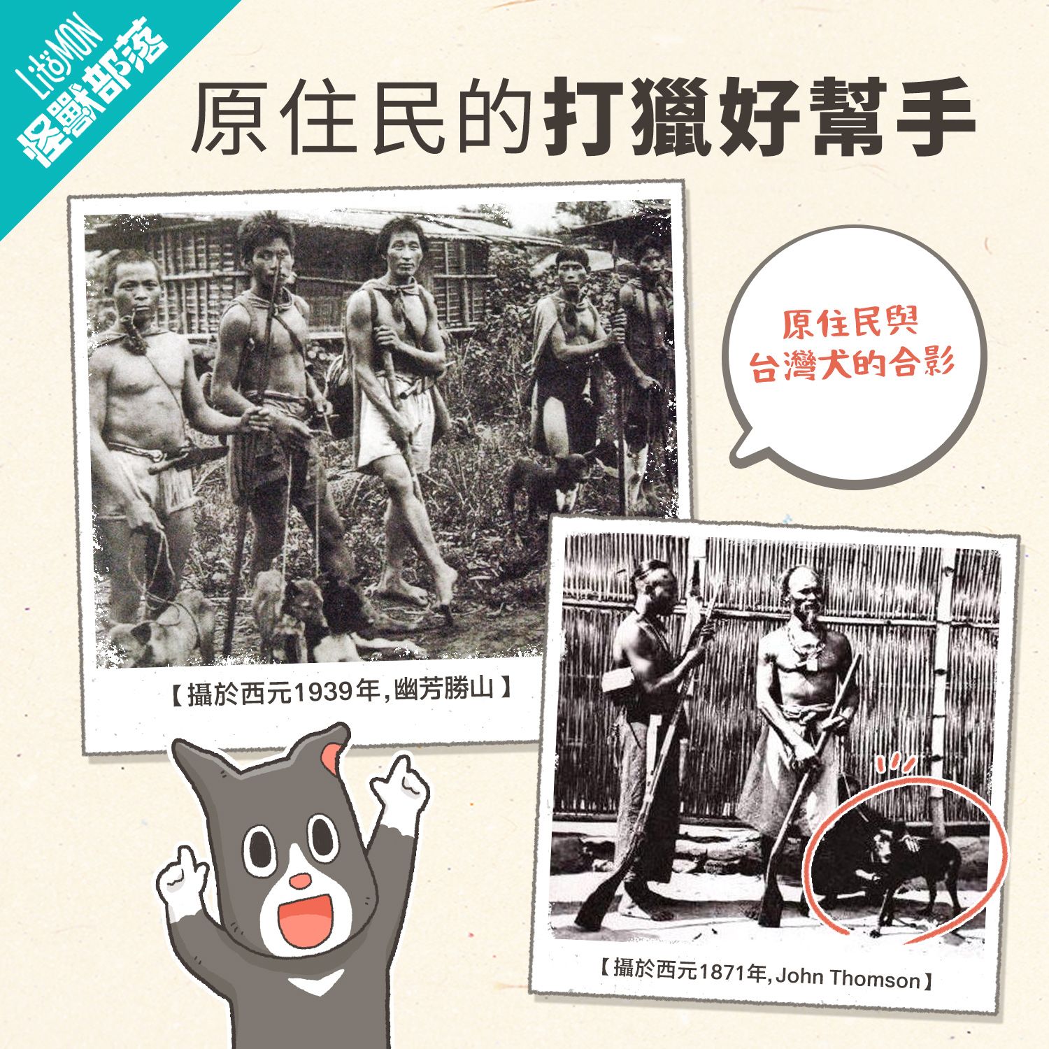 台灣犬 品種 特徵 個性
