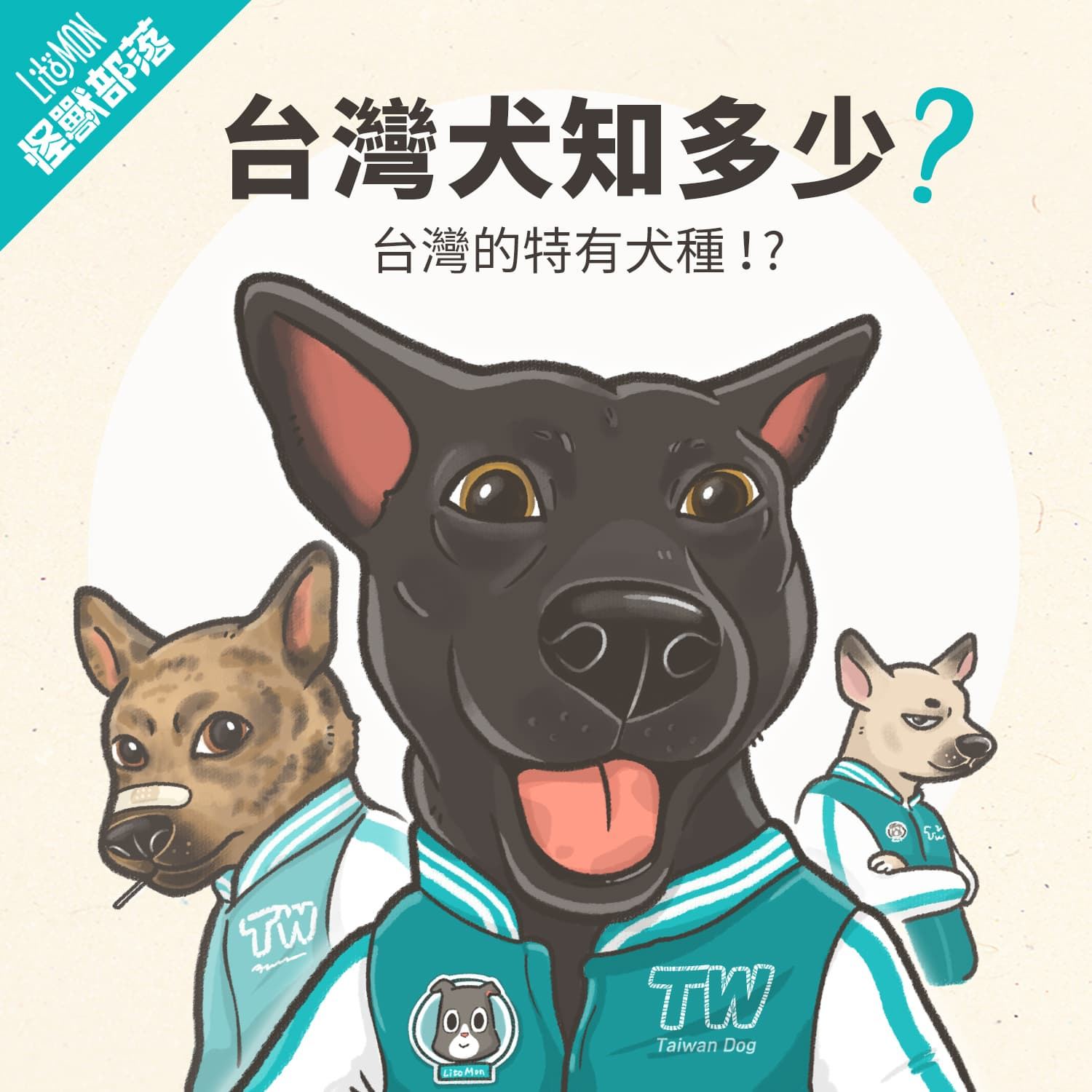 台灣犬是台灣土狗嗎 台灣犬智商 特徵 超強天賦技能解密