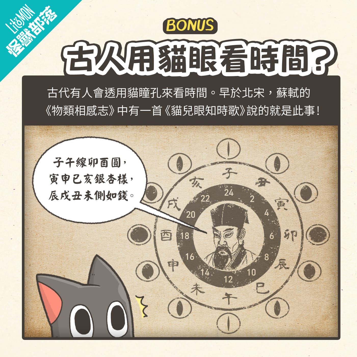 貓咪眼睛