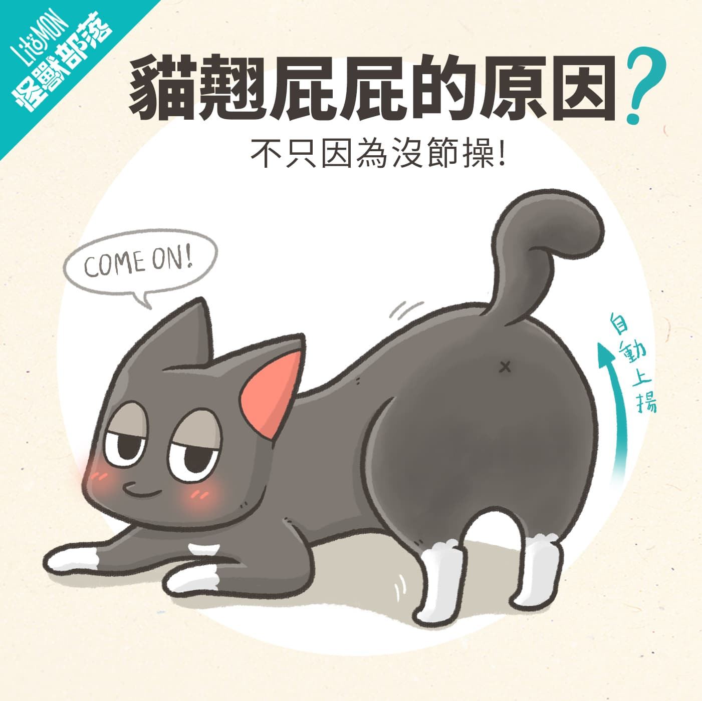 貓咪冷知識 貓咪翹屁屁 把屁股抬高是什麼意思 怪獸部落