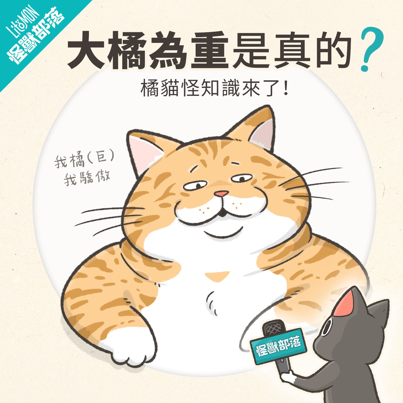 橘貓真的比較容易胖嗎？原來有科學根據！ - 怪獸部落
