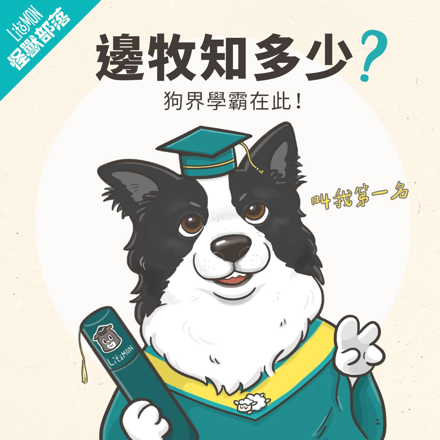邊境牧羊犬智商排行第１名 有哪些毛色 特徵和天賦技能 怪獸部落