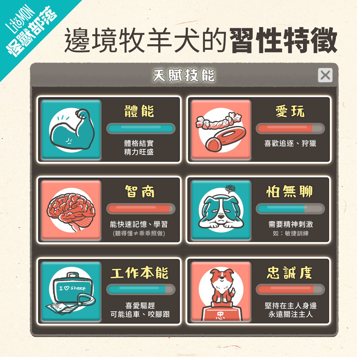 邊境牧羊犬 智商 毛色 特徵