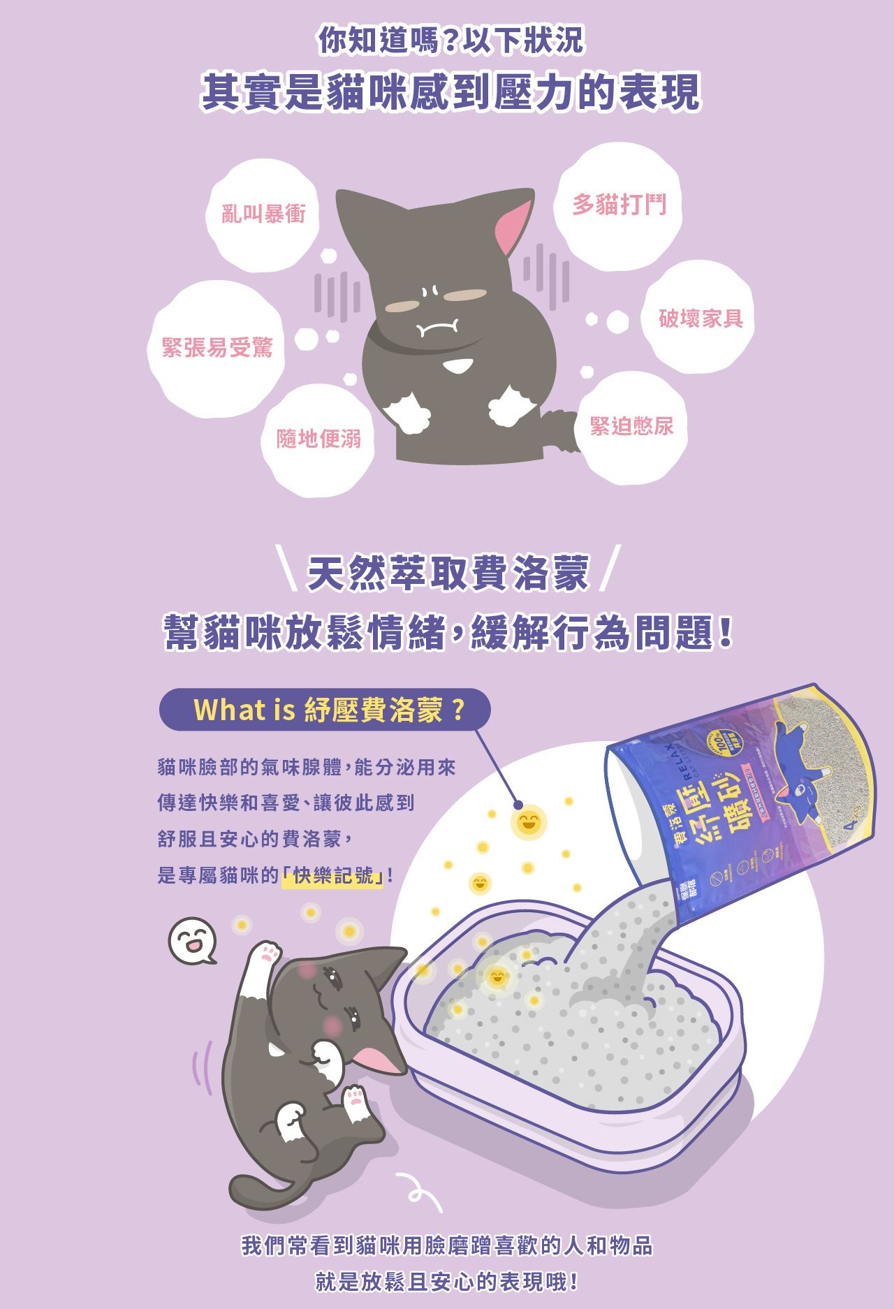 <div>
<p data-usually-unique-id="570742990727658417490259"><span class=" author-d-1gg9uz65z1iz85zgdz68zmqkz84zo2qovum4hoqm6z82zqz86zov3z65zmjz77zz68z9fx0pz89zpz65z7z85zbw"><b>上廁所就能紓緩壓力！<br />
</b></span><strong>添加天然萃取費洛蒙<br />
</strong><strong>幫貓咪放鬆情緒，緩解行為問題！</strong></p>
</div>
<div>✔ 低粉塵｜專利無塵砂技術<br />
✔ 秒凝結｜高效吸水分子添加<br />
✔ 超除臭｜活性碳升級配方</div>