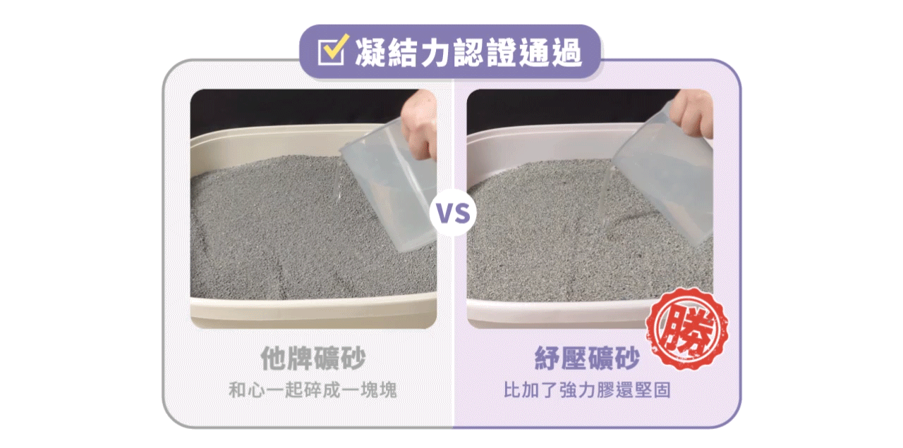 <div>
<p data-usually-unique-id="570742990727658417490259"><span class=" author-d-1gg9uz65z1iz85zgdz68zmqkz84zo2qovum4hoqm6z82zqz86zov3z65zmjz77zz68z9fx0pz89zpz65z7z85zbw"><b>上廁所就能紓緩壓力！<br />
</b></span><strong>添加天然萃取費洛蒙<br />
</strong><strong>幫貓咪放鬆情緒，緩解行為問題！</strong></p>
</div>
<div>✔ 低粉塵｜專利無塵砂技術<br />
✔ 秒凝結｜高效吸水分子添加<br />
✔ 超除臭｜活性碳升級配方</div>