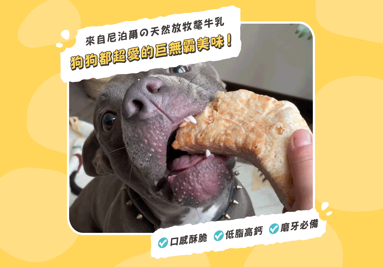<strong>犬用咬咬磨牙系列 </strong>✔口感酥脆  ✔低脂高鈣  ✔磨牙必備