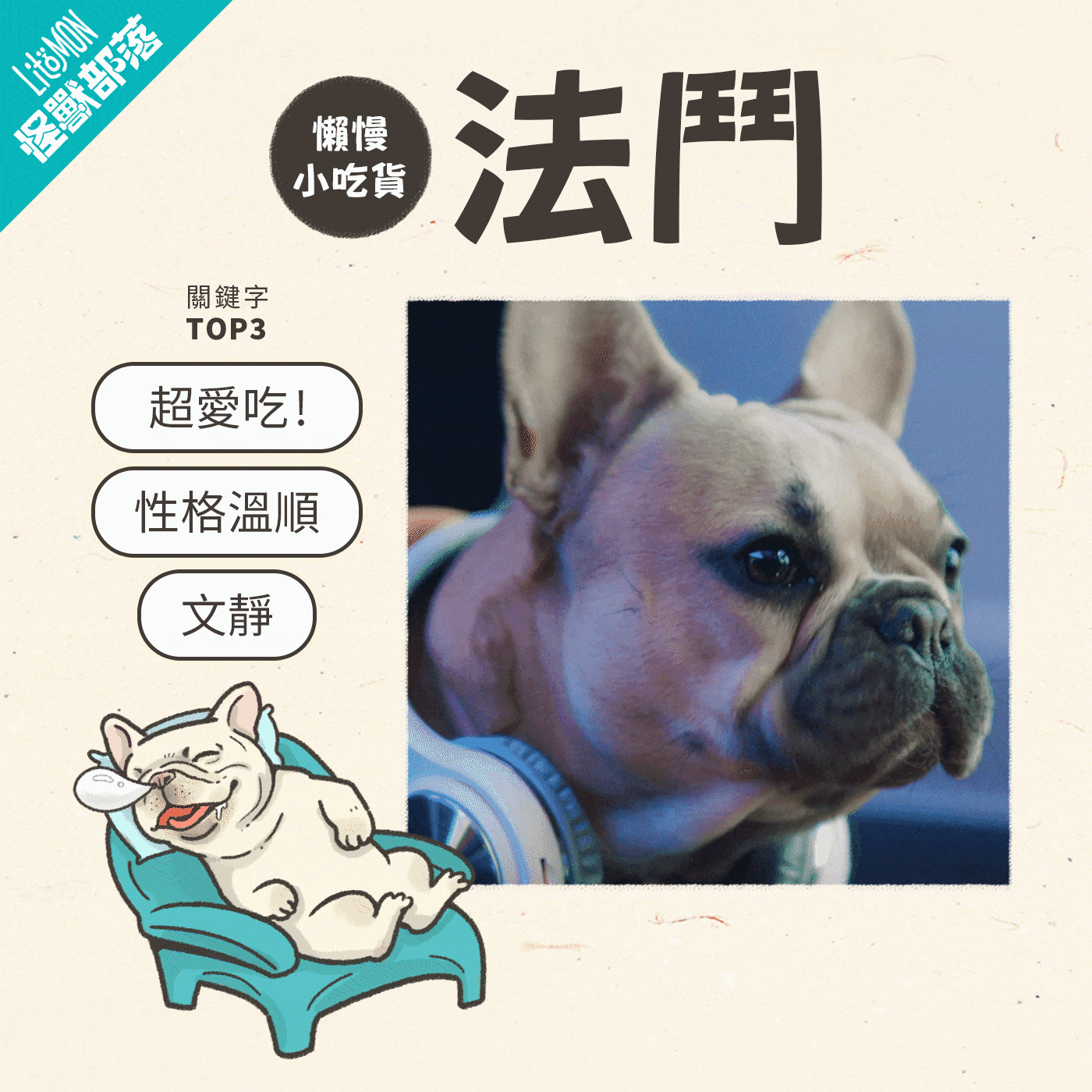 法鬥個性─懶散小吃貨