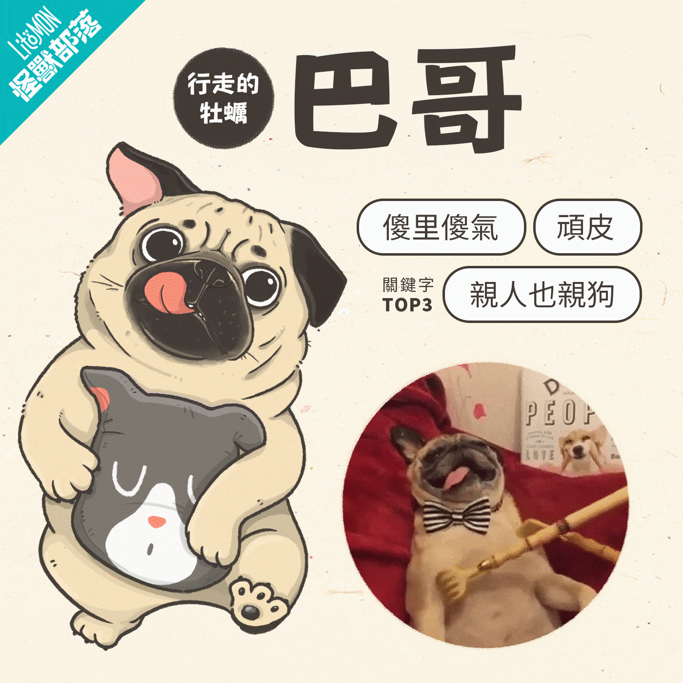 巴哥犬個性─行走的牡蠣