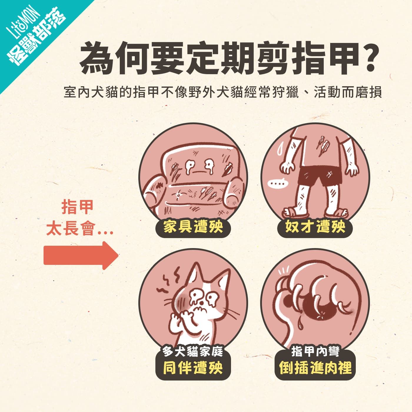 為何要幫犬貓剪指甲