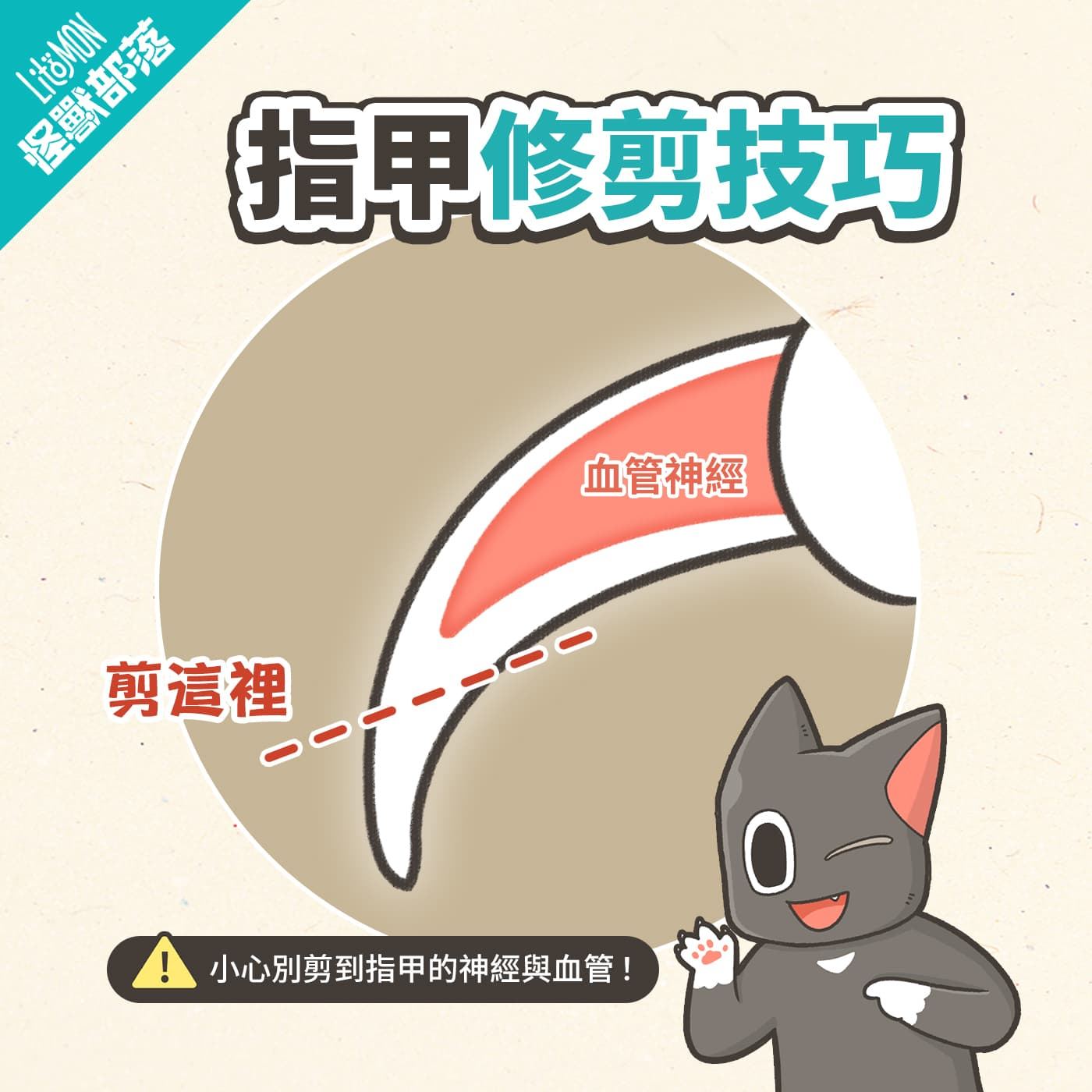幫貓狗剪指甲的技巧