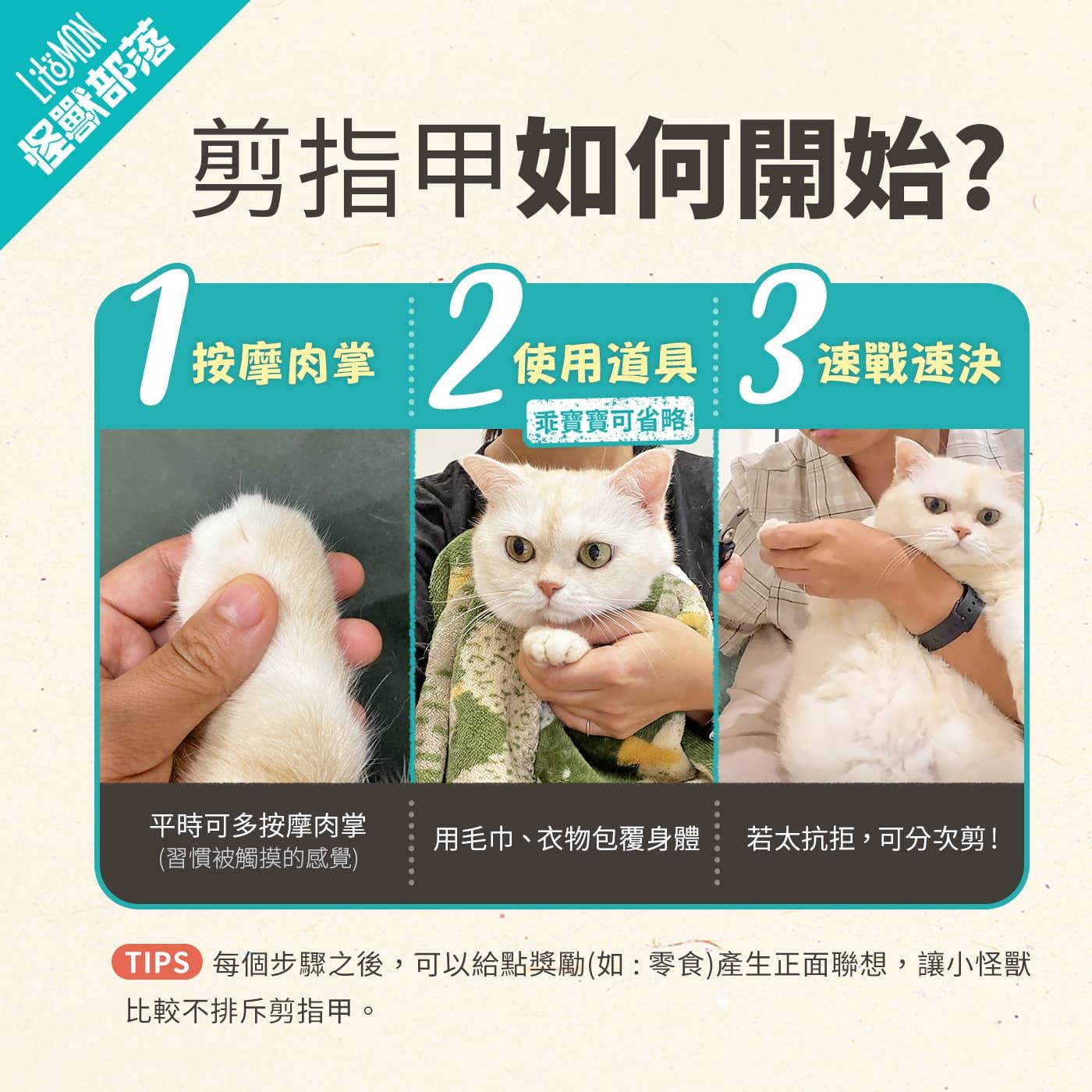 幫貓狗剪指甲三步驟