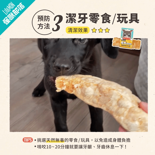 貓貓狗狗口臭怎麼辦?