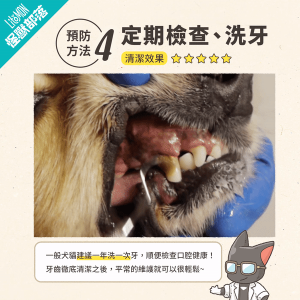 貓狗口臭?