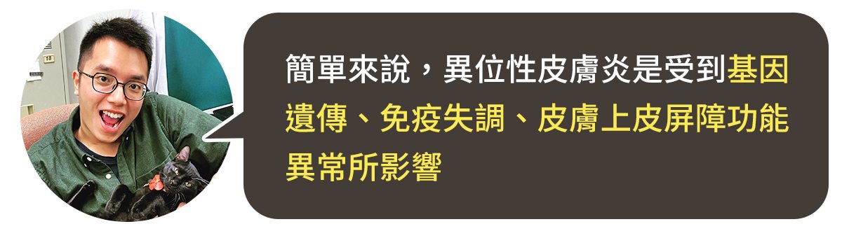 狗狗異位性皮膚炎