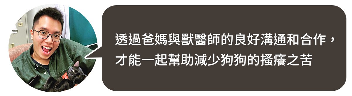 狗狗皮膚癢