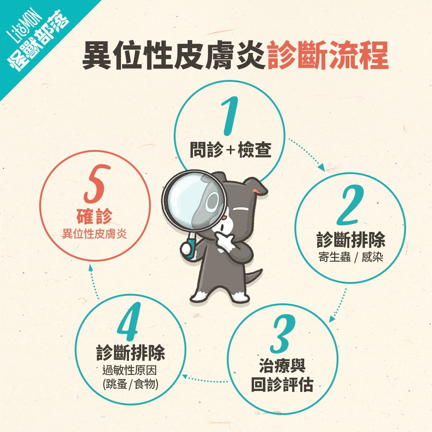 狗狗皮膚癢診斷流程