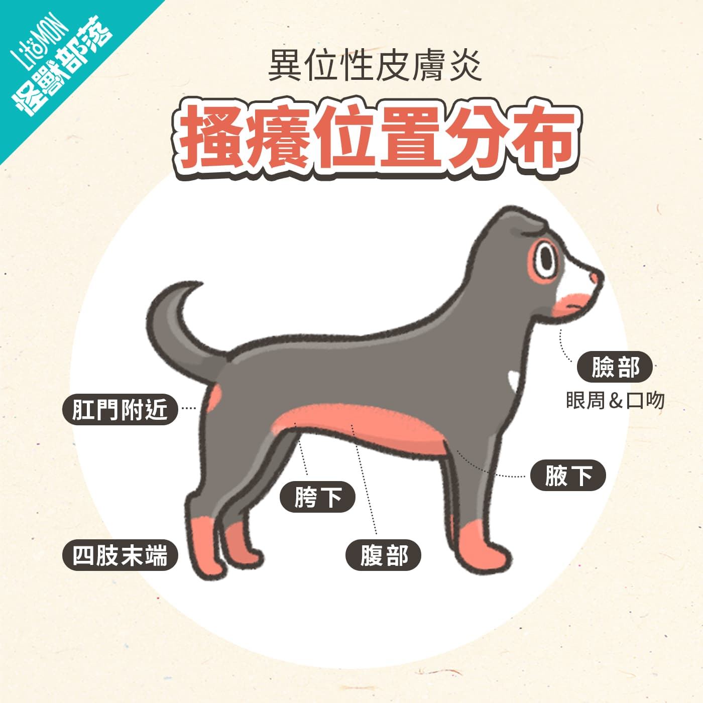 狗狗異位性皮膚炎搔癢位置