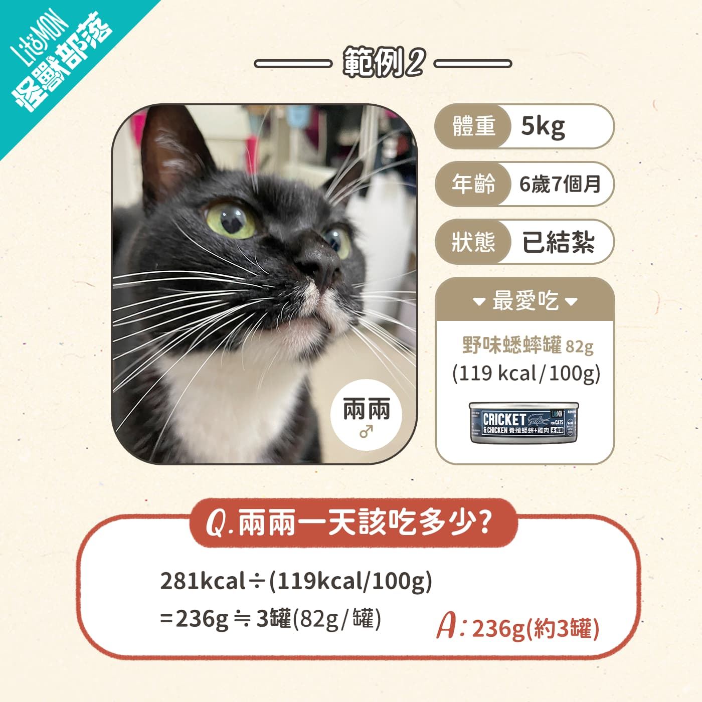 貓咪食量