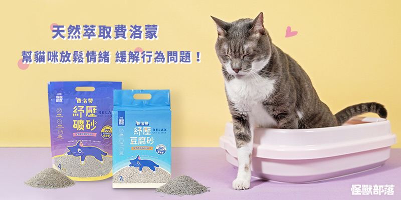 養第二隻貓 準備 注意 費洛蒙貓砂 貓咪費洛蒙
