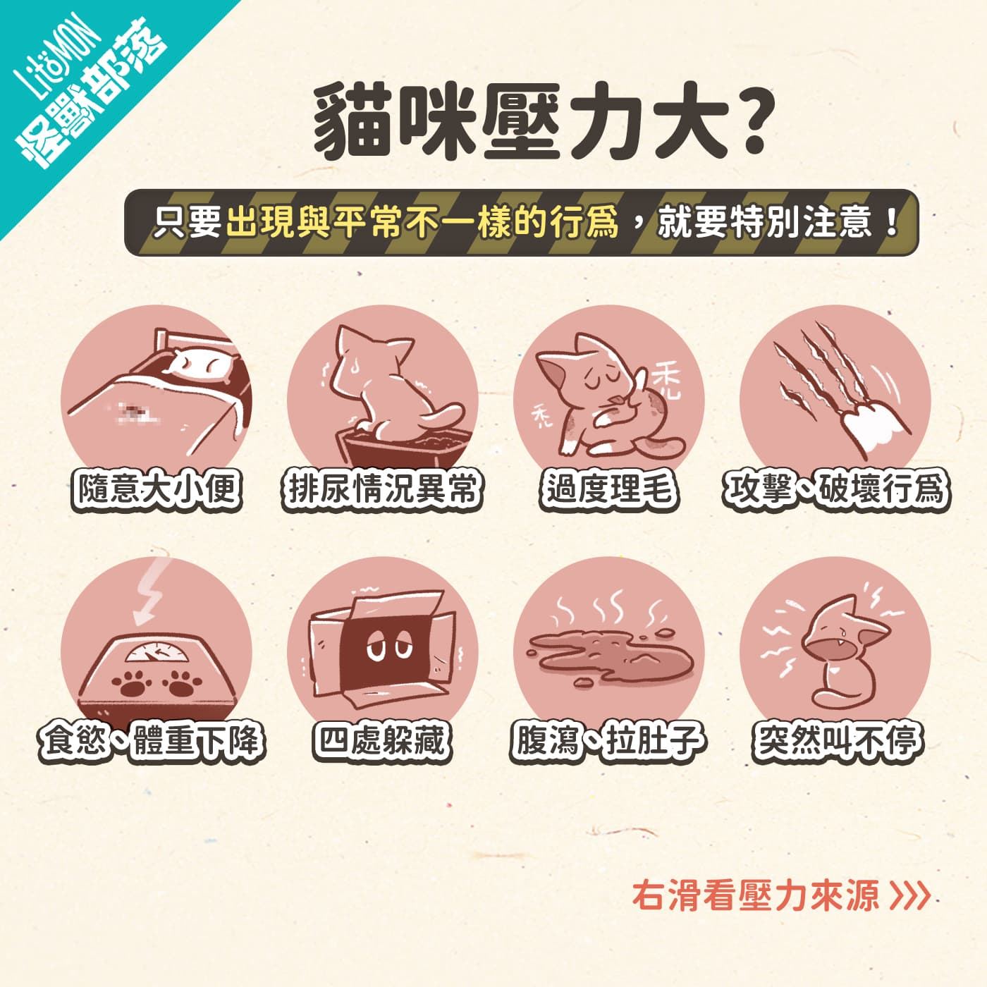 貓咪一直叫 、壓力大?