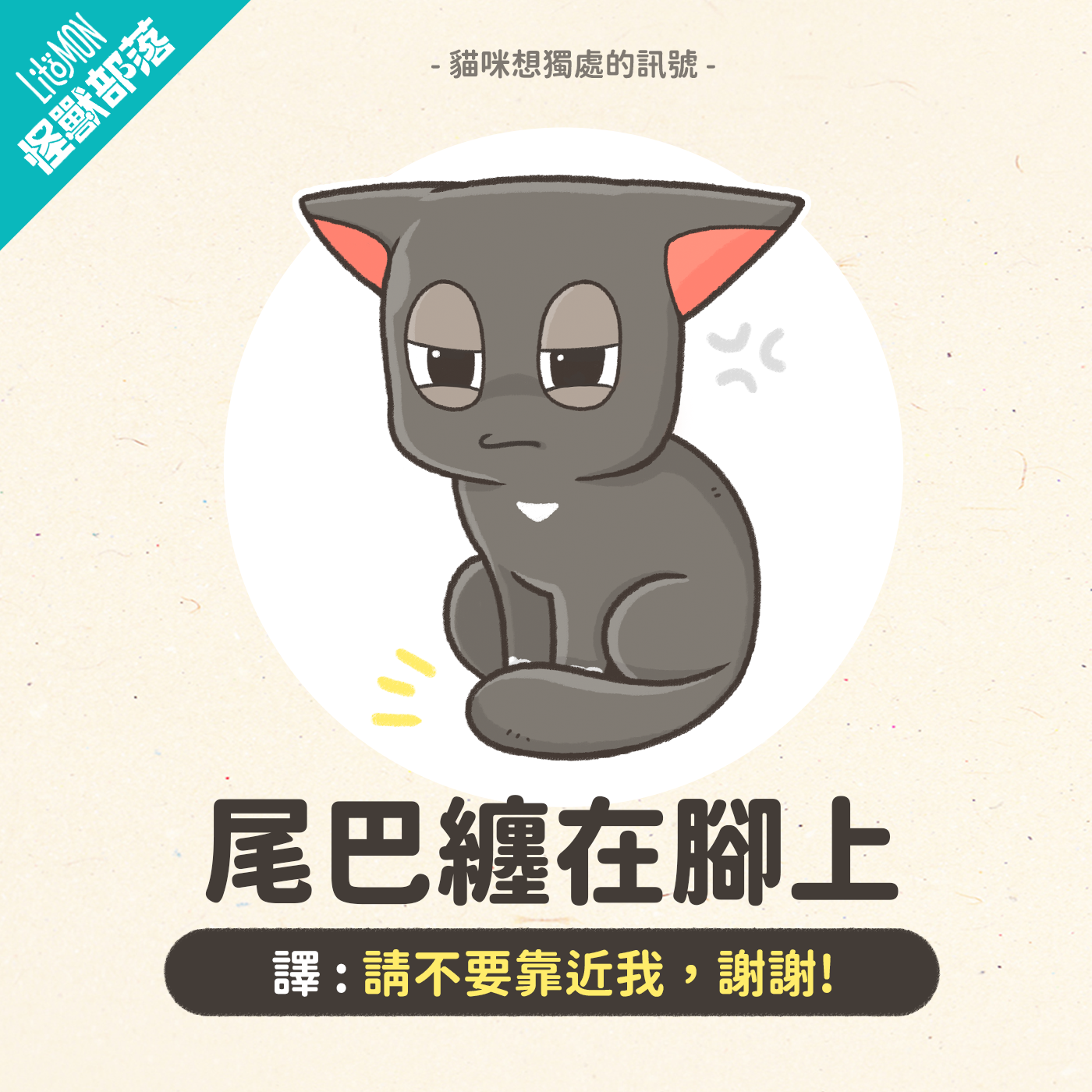 母雞蹲