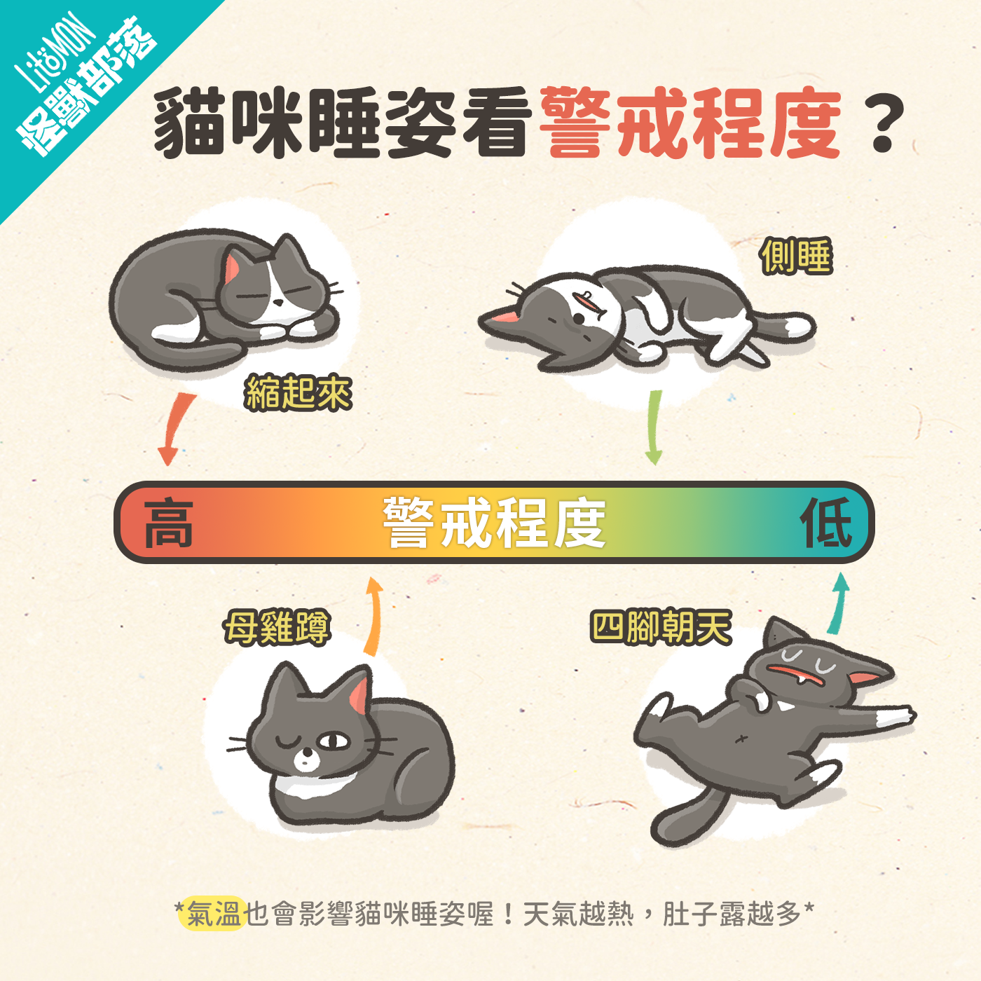 母雞蹲