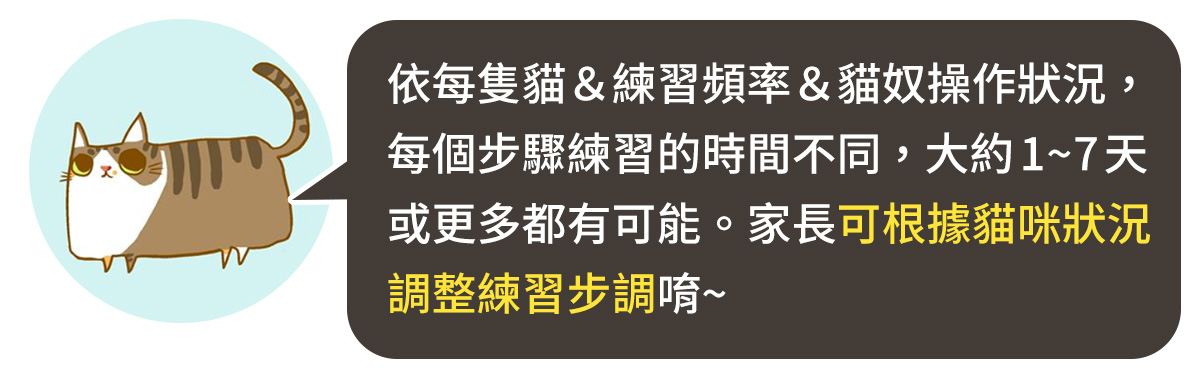 訓練貓過來